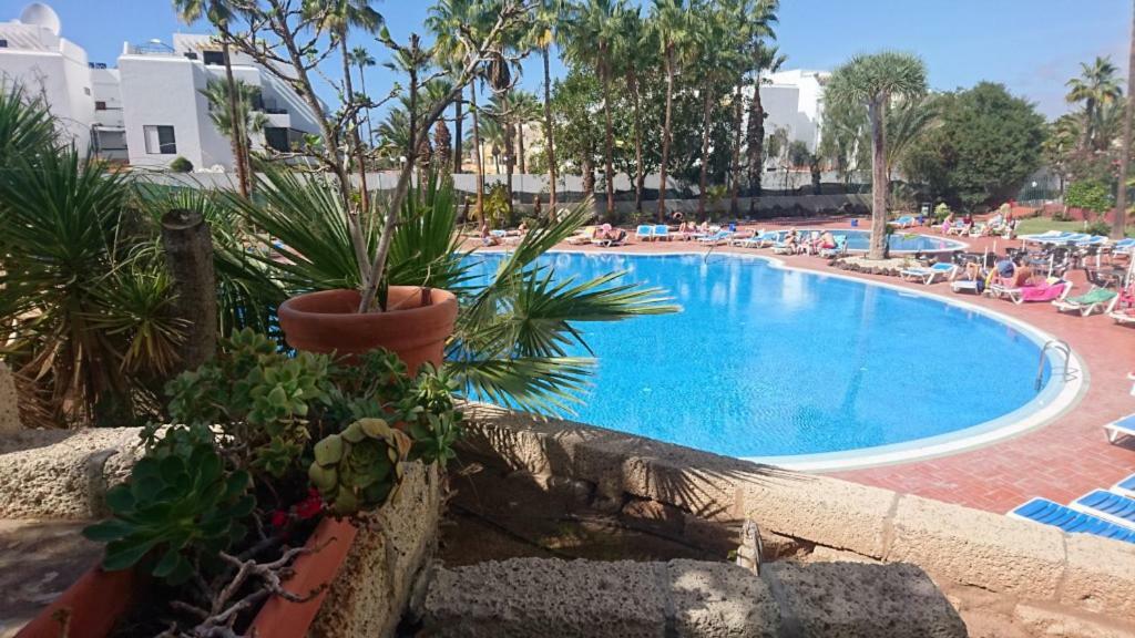 Apartment El Dorado 플라야데라스아메리카스 외부 사진